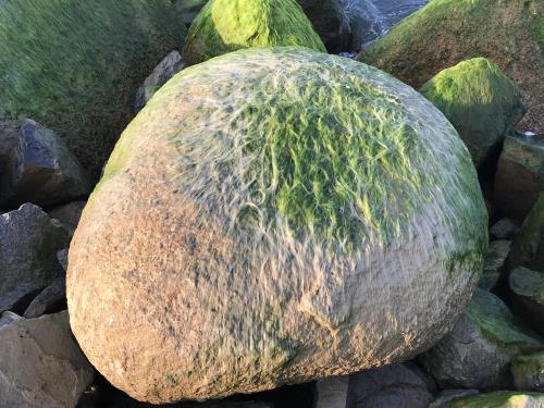 Đẹp ngỡ ngàng kè biển Đà Diễn