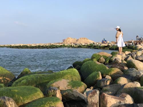 Đẹp ngỡ ngàng kè biển Đà Diễn