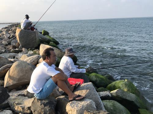 Đẹp ngỡ ngàng kè biển Đà Diễn