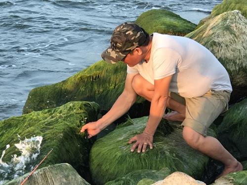 Đẹp ngỡ ngàng kè biển Đà Diễn