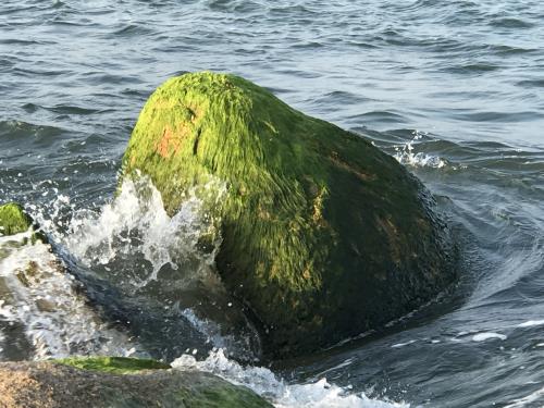 Đẹp ngỡ ngàng kè biển Đà Diễn