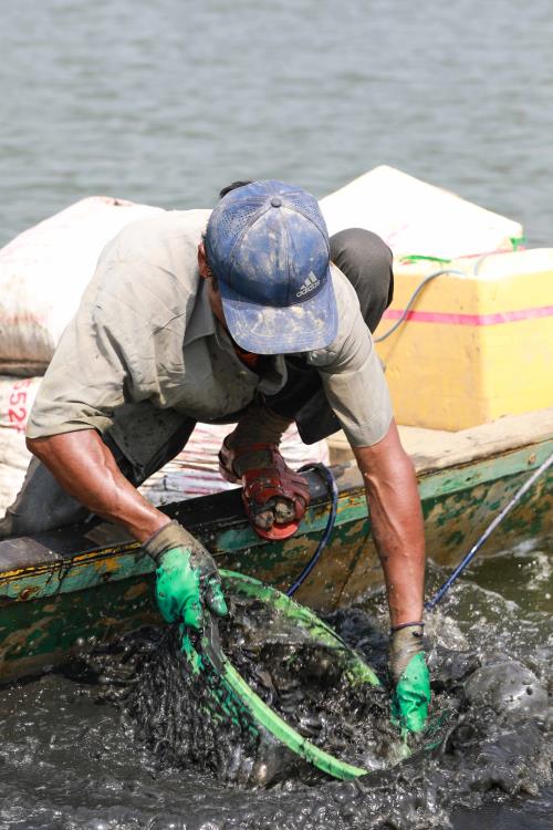 Ngâm mình nơi ngã ba sông bắt vẹm
