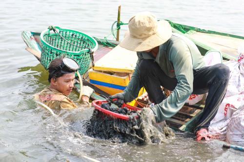 Ngâm mình nơi ngã ba sông bắt vẹm