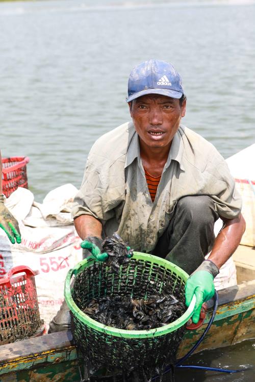 Ngâm mình nơi ngã ba sông bắt vẹm