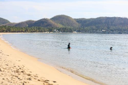 Bắt sứa ở biển Vịnh Hoà