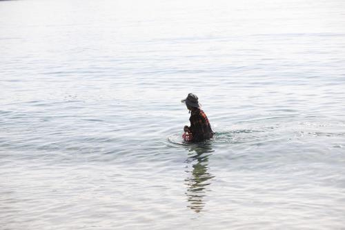 Bắt sứa ở biển Vịnh Hoà