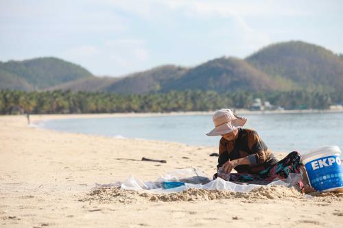 Bắt sứa ở biển Vịnh Hoà