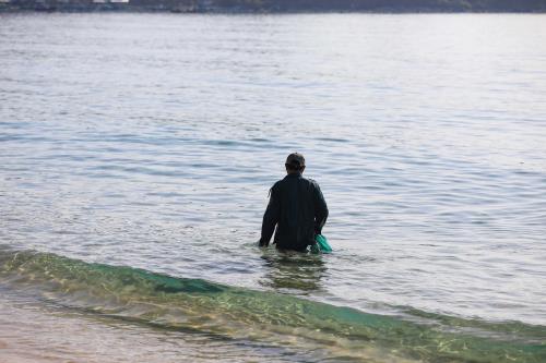 Bắt sứa ở biển Vịnh Hoà