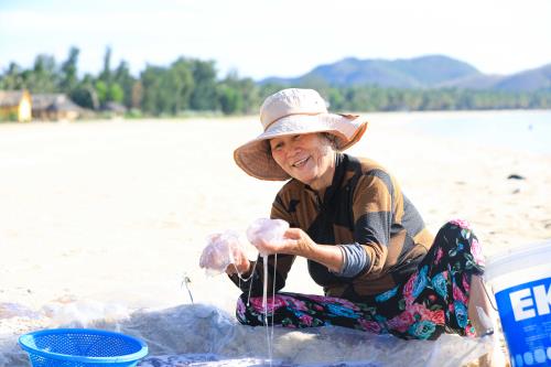 Bắt sứa ở biển Vịnh Hoà