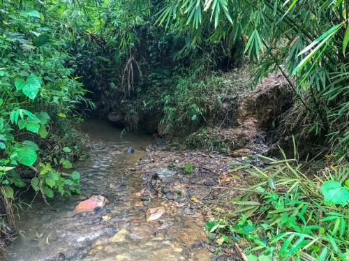 Cận cảnh dòng suối &rsquo;ngậm dầu&rsquo; dẫn vào nhà máy nước Sông Đà