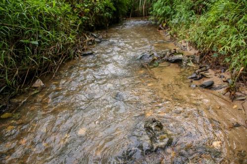 Cận cảnh dòng suối &rsquo;ngậm dầu&rsquo; dẫn vào nhà máy nước Sông Đà