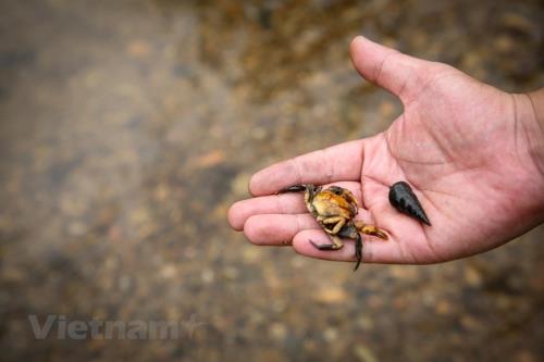 Cận cảnh dòng suối &rsquo;ngậm dầu&rsquo; dẫn vào nhà máy nước Sông Đà