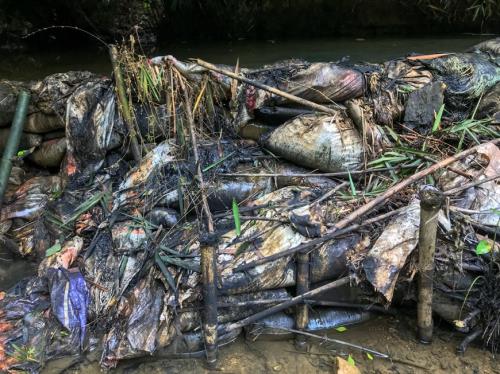 Cận cảnh dòng suối &rsquo;ngậm dầu&rsquo; dẫn vào nhà máy nước Sông Đà