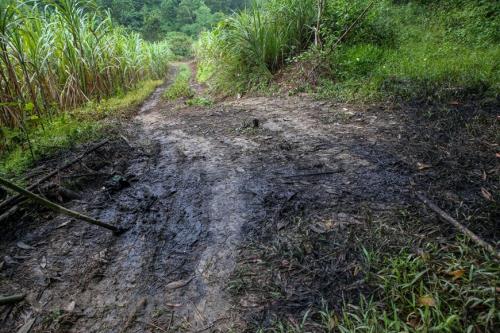 Cận cảnh dòng suối &rsquo;ngậm dầu&rsquo; dẫn vào nhà máy nước Sông Đà