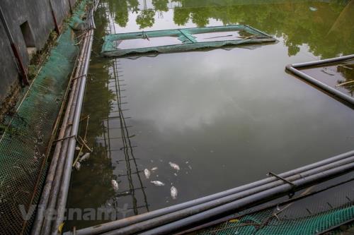 Cận cảnh dòng suối &rsquo;ngậm dầu&rsquo; dẫn vào nhà máy nước Sông Đà