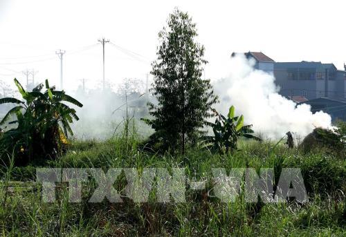 Hà Nội đốt rơm, rác gây nguy hại cho sức khoẻ con người