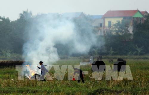 Hà Nội đốt rơm, rác gây nguy hại cho sức khoẻ con người