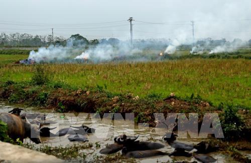 Hà Nội đốt rơm, rác gây nguy hại cho sức khoẻ con người