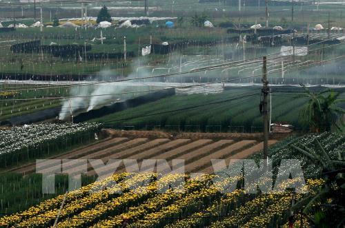 Hà Nội đốt rơm, rác gây nguy hại cho sức khoẻ con người