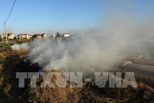 Hà Nội đốt rơm, rác gây nguy hại cho sức khoẻ con người