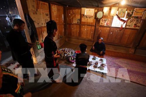 Rộn ràng Tết Hoa mào gà nơi biên giới