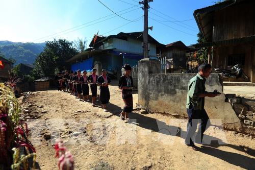 Rộn ràng Tết Hoa mào gà nơi biên giới