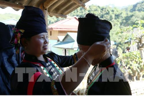 Rộn ràng Tết Hoa mào gà nơi biên giới