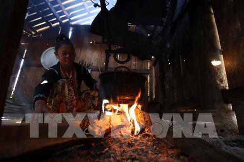 Rộn ràng Tết Hoa mào gà nơi biên giới