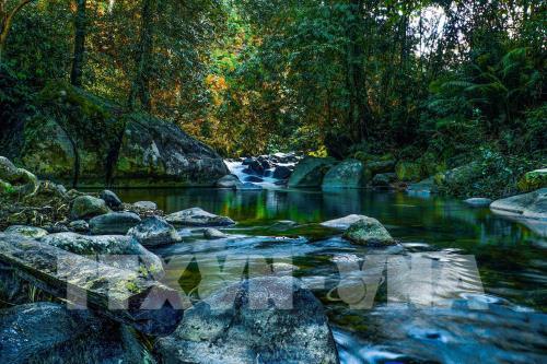 Hấp dẫn Công viên địa chất Đắk Nông