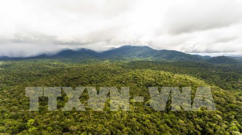 Hấp dẫn Công viên địa chất Đắk Nông