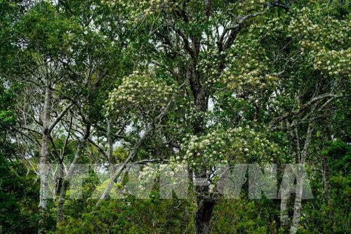 Hấp dẫn Công viên địa chất Đắk Nông