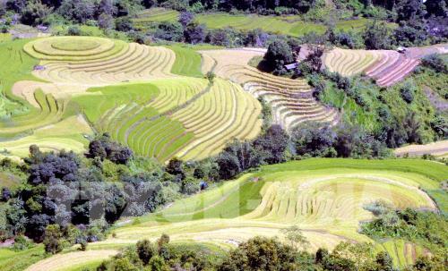 Ruộng bậc thang tại huyện Bắc Yên