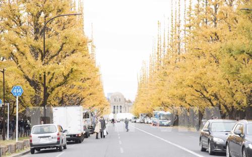 Đến Tokyo ngắm Thu vàng đến muộn
