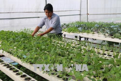 Công nghệ cao mở hướng đi mới cho hợp tác xã