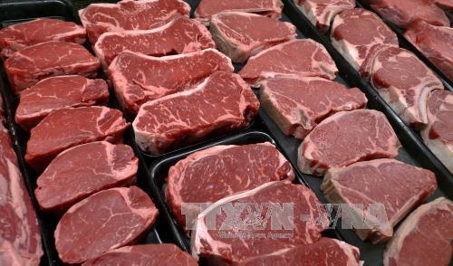 Nhật Bản hỗ trợ mạnh xuất khẩu hàng nông sản và thực phẩm
