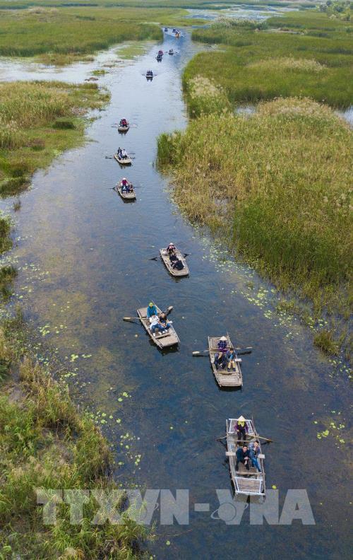 Mùa chim di trú trên đầm Vân Long, Ninh Bình
