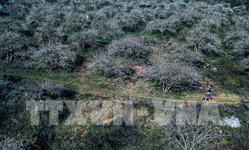 Du lịch đâu dịp Lễ Giỗ Tổ Hùng Vương?