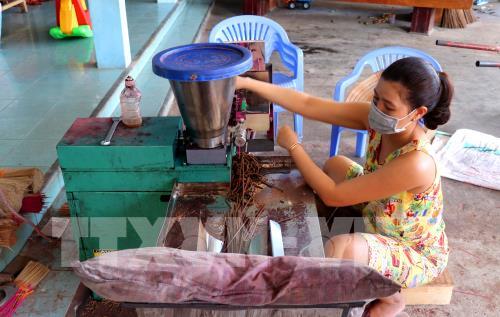 Thừa Thiên-Huế: Làng hương Thủy Xuân rộn ràng mùa Tết