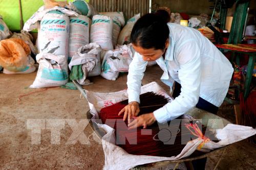 Thừa Thiên-Huế: Làng hương Thủy Xuân rộn ràng mùa Tết