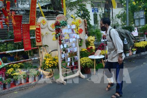 Độc đáo đường hoa Tết trong Bệnh viện Chợ Rẫy