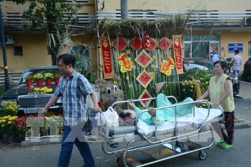 Độc đáo đường hoa Tết trong Bệnh viện Chợ Rẫy
