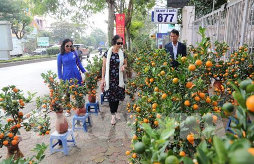 Hà Nội: Thị trường đào, quất nhộn nhịp đón Tết Canh Tý 2020