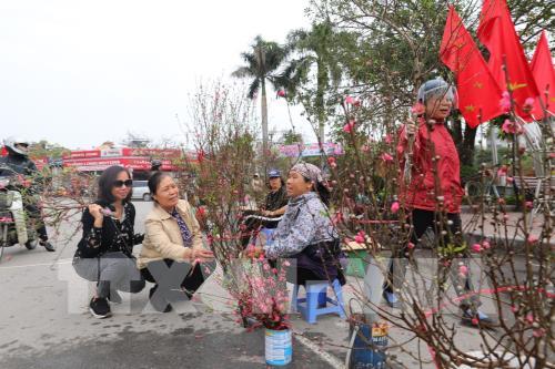 Hà Nội: Thị trường đào, quất nhộn nhịp đón Tết Canh Tý 2020