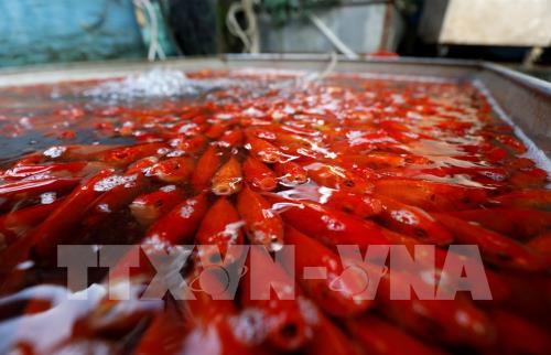 Nguồn gốc phong tục Tết ông Công ông Táo