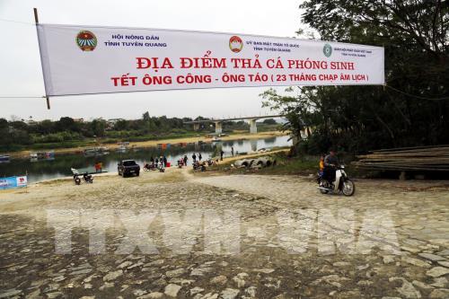 Thả cá chép ngày ông Táo - nét đẹp văn hóa của người Việt