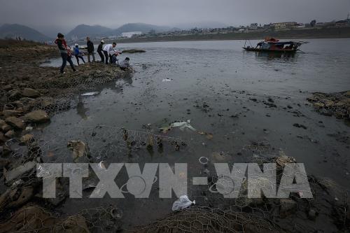 Thả cá chép ngày ông Táo - nét đẹp văn hóa của người Việt