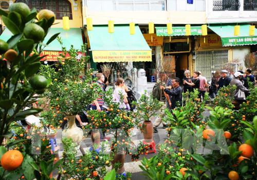 Chợ hoa truyền thống Hàng Lược (Hà Nội)