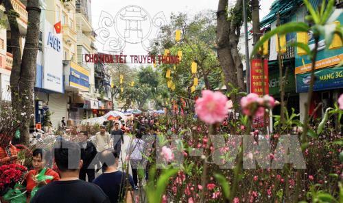 Chợ hoa truyền thống Hàng Lược (Hà Nội)