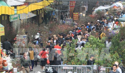 Chợ hoa truyền thống Hàng Lược (Hà Nội)