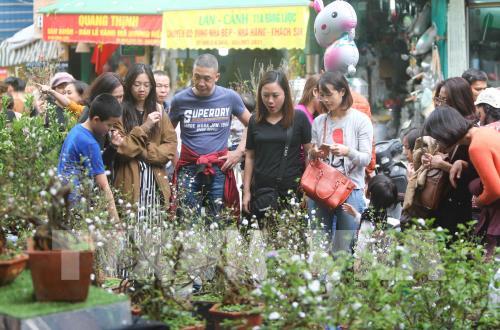 Chợ hoa truyền thống Hàng Lược (Hà Nội)